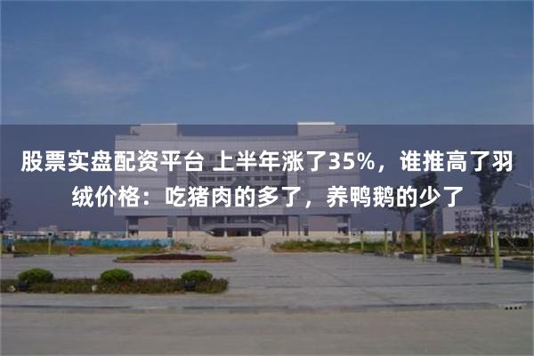 股票实盘配资平台 上半年涨了35%，谁推高了羽绒价格：吃猪肉的多了，养鸭鹅的少了