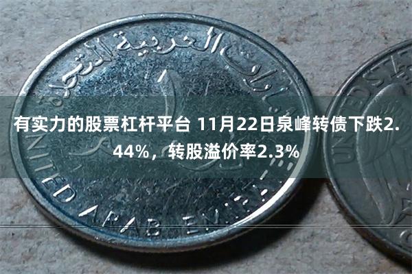 有实力的股票杠杆平台 11月22日泉峰转债下跌2.44%，转股溢价率2.3%
