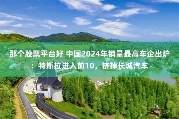 那个股票平台好 中国2024年销量最高车企出炉：特斯拉进入前10，挤掉长城汽车