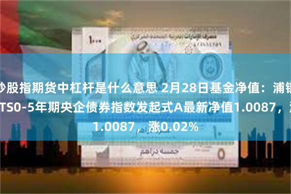 炒股指期货中杠杆是什么意思 2月28日基金净值：浦银安盛CFETS0-5年期央企债券指数发起式A最新净值1.0087，涨0.02%