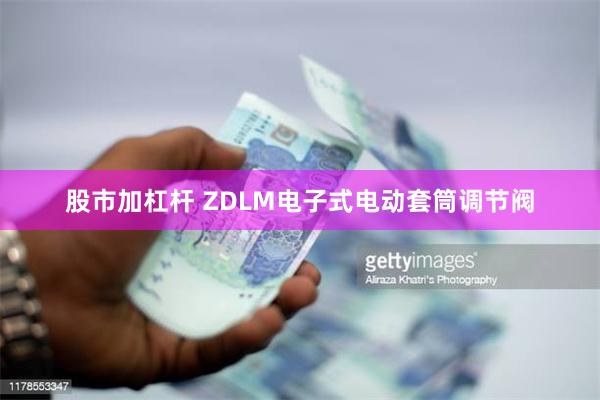 股市加杠杆 ZDLM电子式电动套筒调节阀