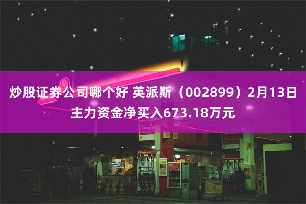 炒股证券公司哪个好 英派斯（002899）2月13日主力资金净买入673.18万元