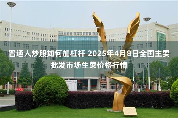 普通人炒股如何加杠杆 2025年4月8日全国主要批发市场生菜价格行情