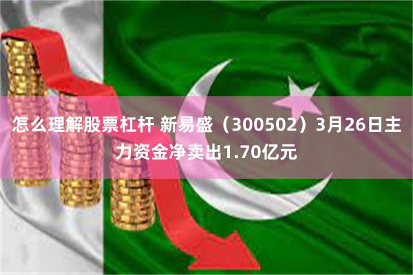怎么理解股票杠杆 新易盛（300502）3月26日主力资金净卖出1.70亿元