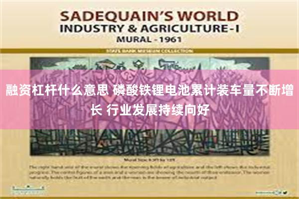 融资杠杆什么意思 磷酸铁锂电池累计装车量不断增长 行业发展持续向好